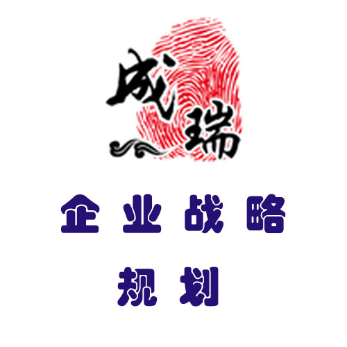 企业战略规划(咨询服务)
